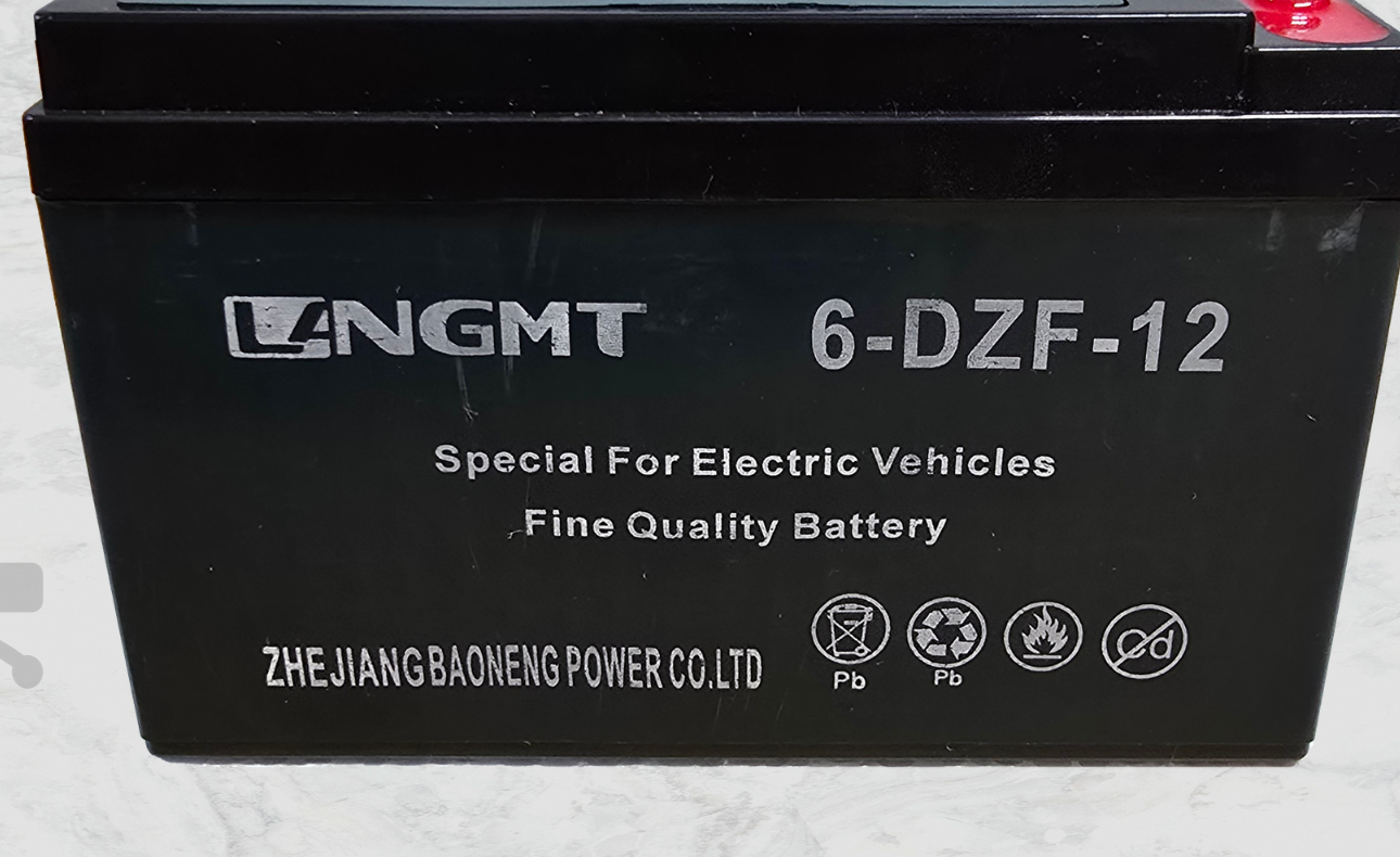 Lead Acid Battery 6-DZF-12 (Set of 4pcs)